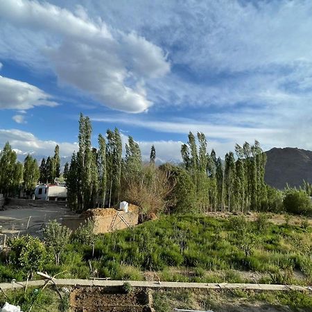 The Willow House Leh Esterno foto