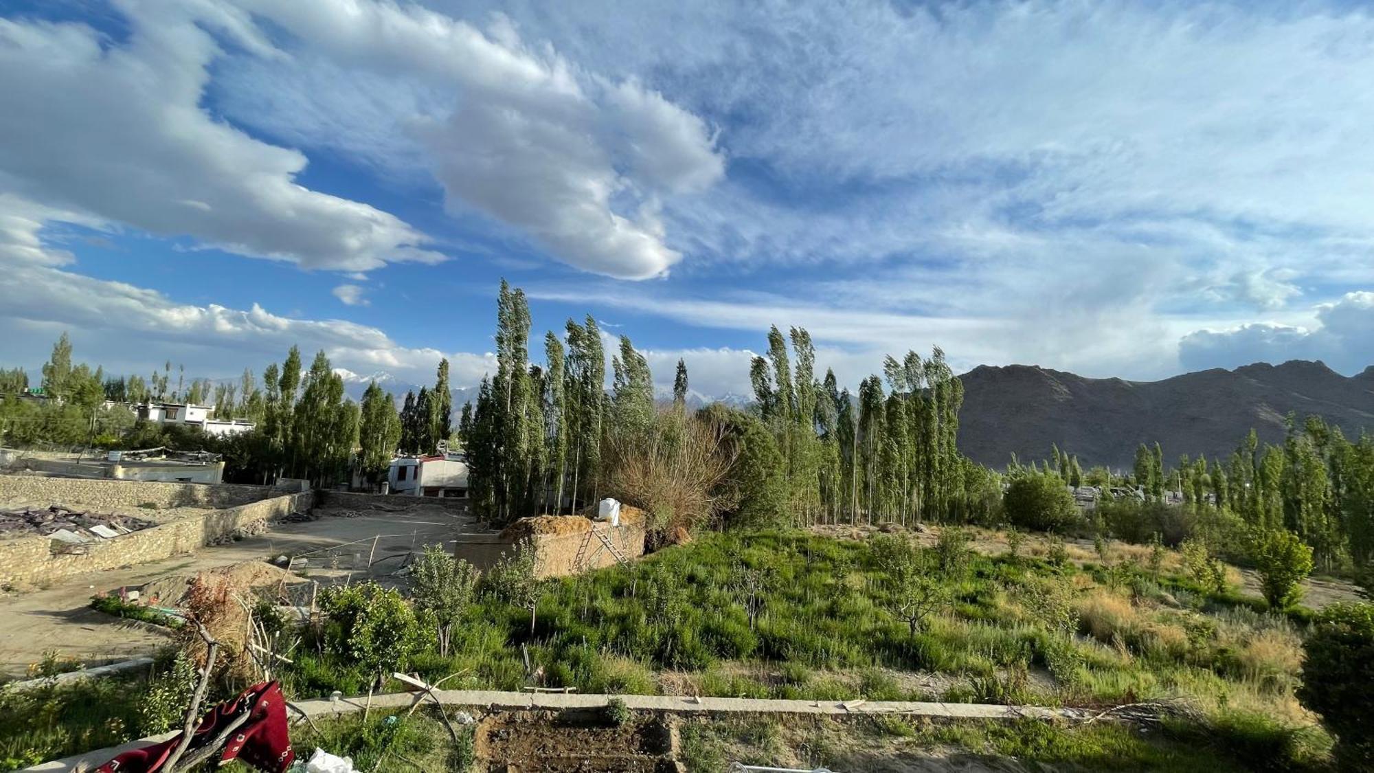 The Willow House Leh Esterno foto