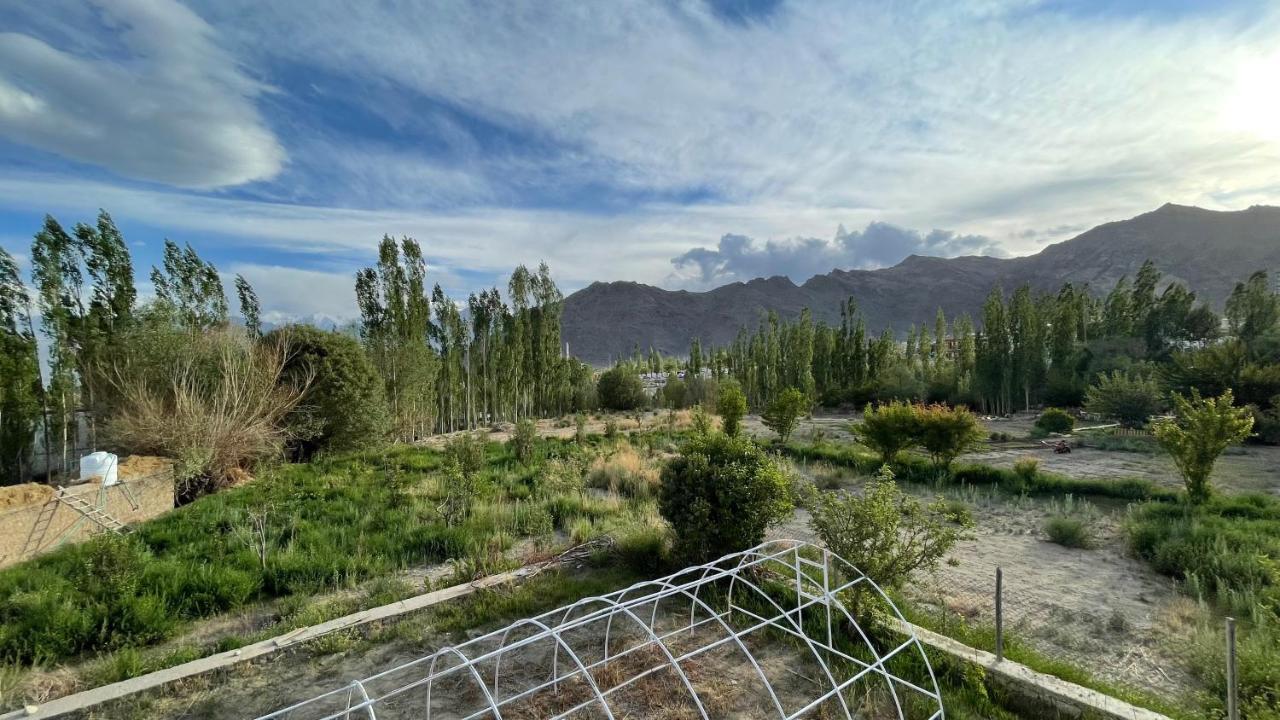 The Willow House Leh Esterno foto