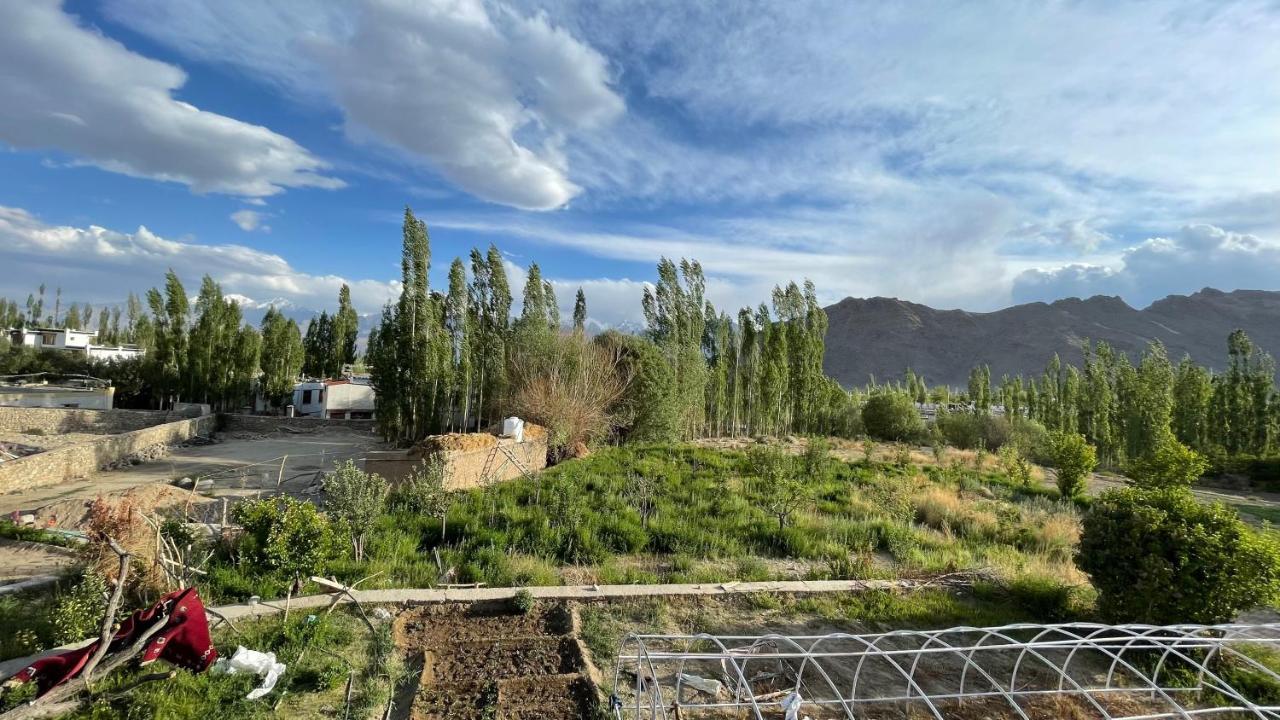 The Willow House Leh Esterno foto
