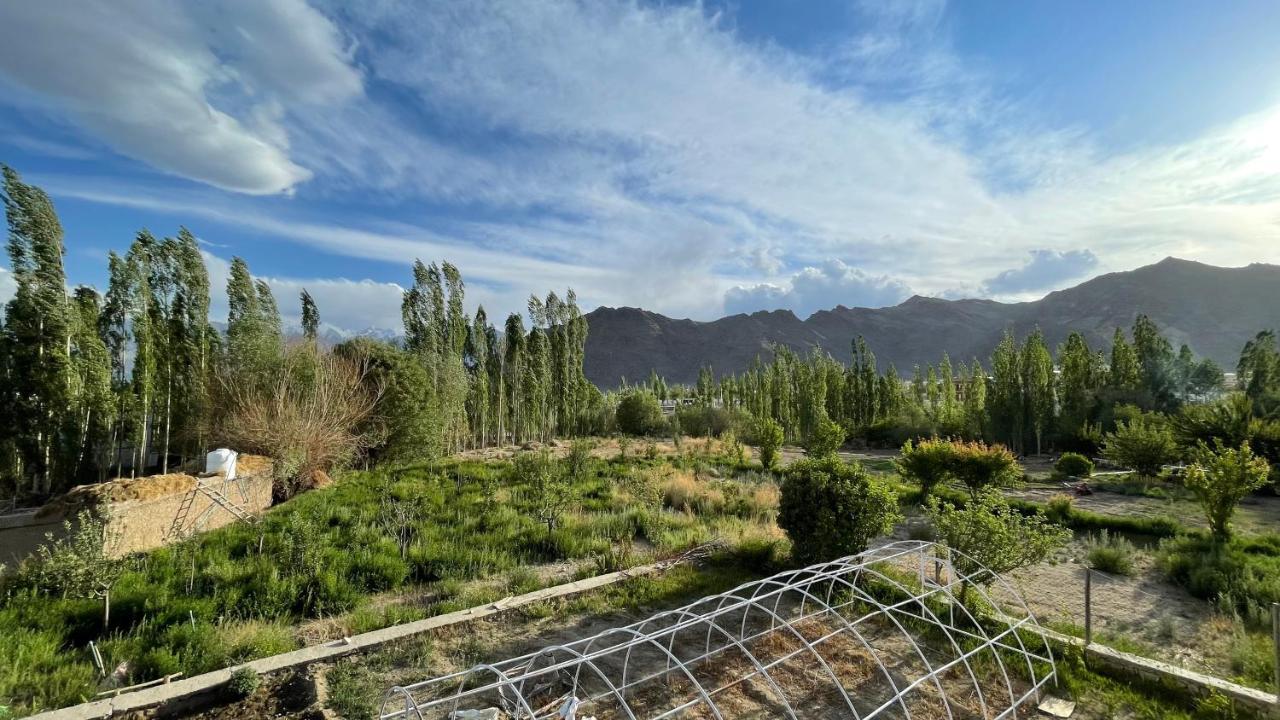 The Willow House Leh Esterno foto