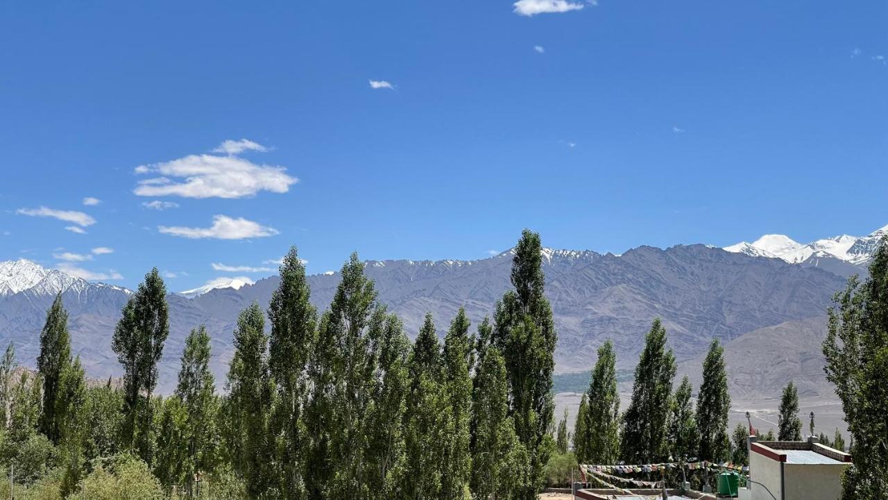 The Willow House Leh Esterno foto
